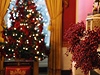 Vánoce v Bílém dom. Vánoní stromek a vtviky cesmíny